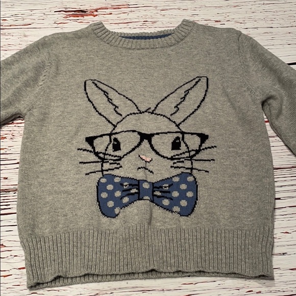 Toddler Boys Easter Bunny Sweater 3t 